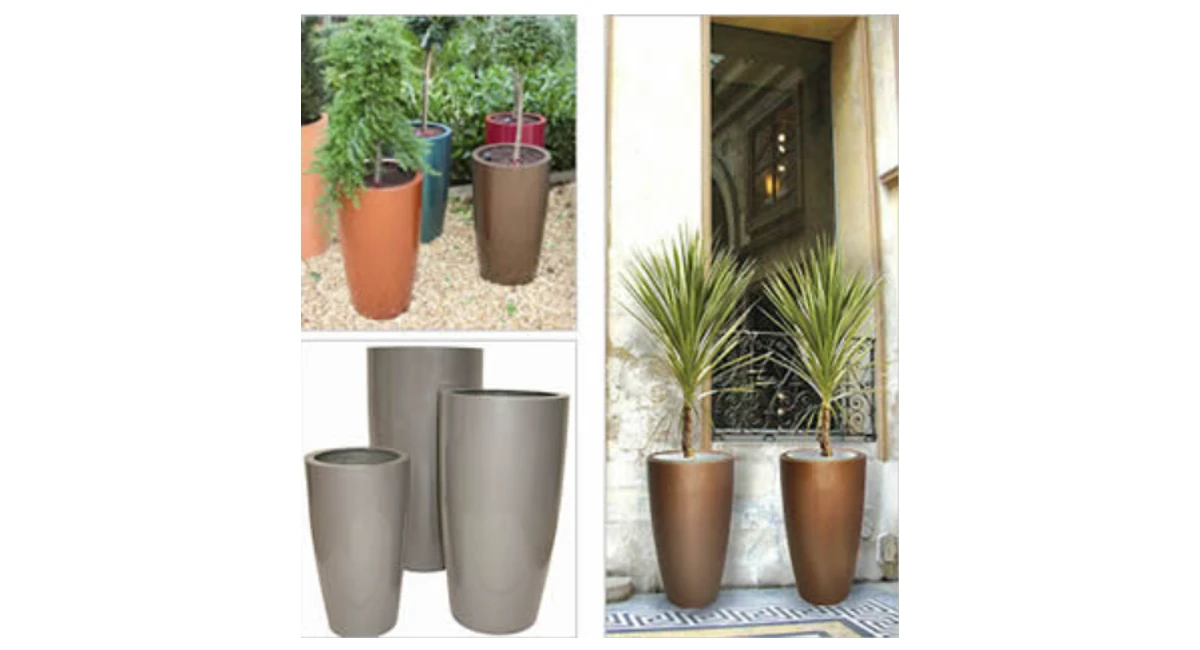 image-stock-ambius-cylik-pot.webp