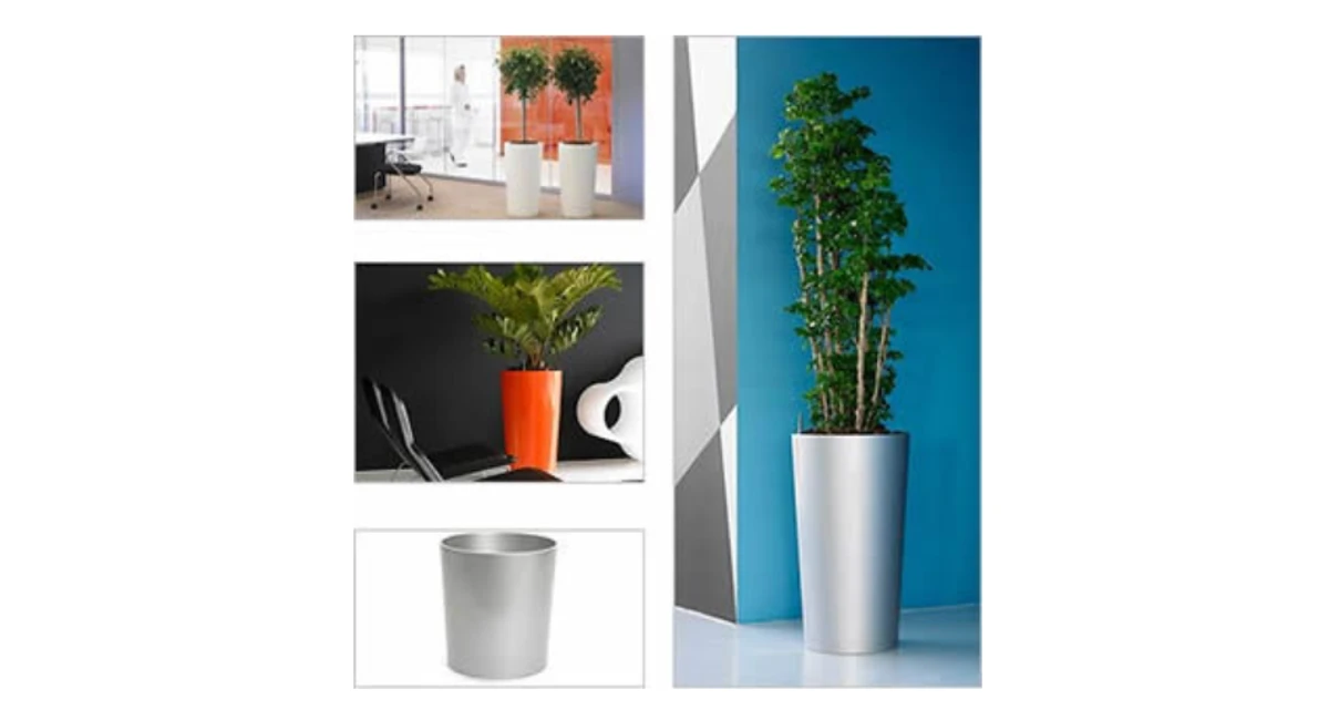 image-stock-ambius-prestige-primus.webp