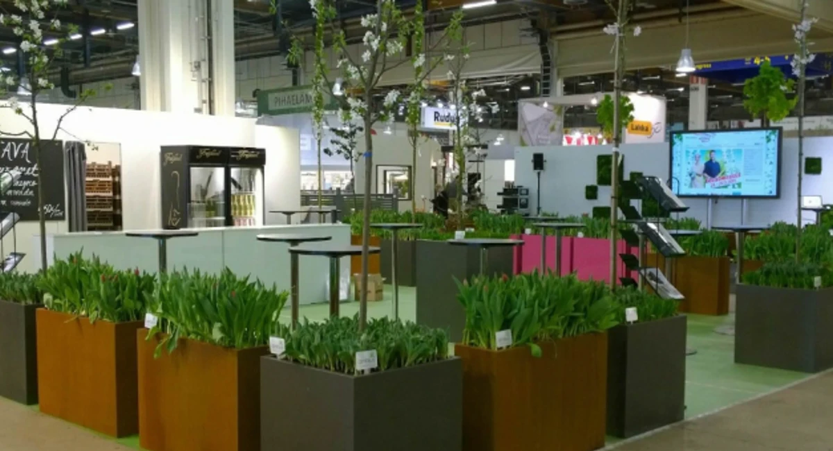 image-stock-ambius-plant-dividers.webp