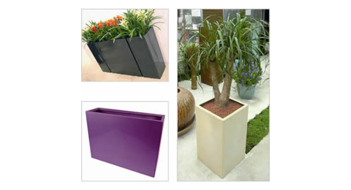 image-stock-ambius-towik-pot.webp