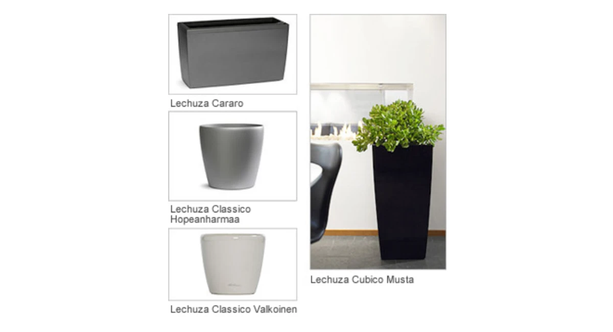 image-ambius-plant-pot.webp