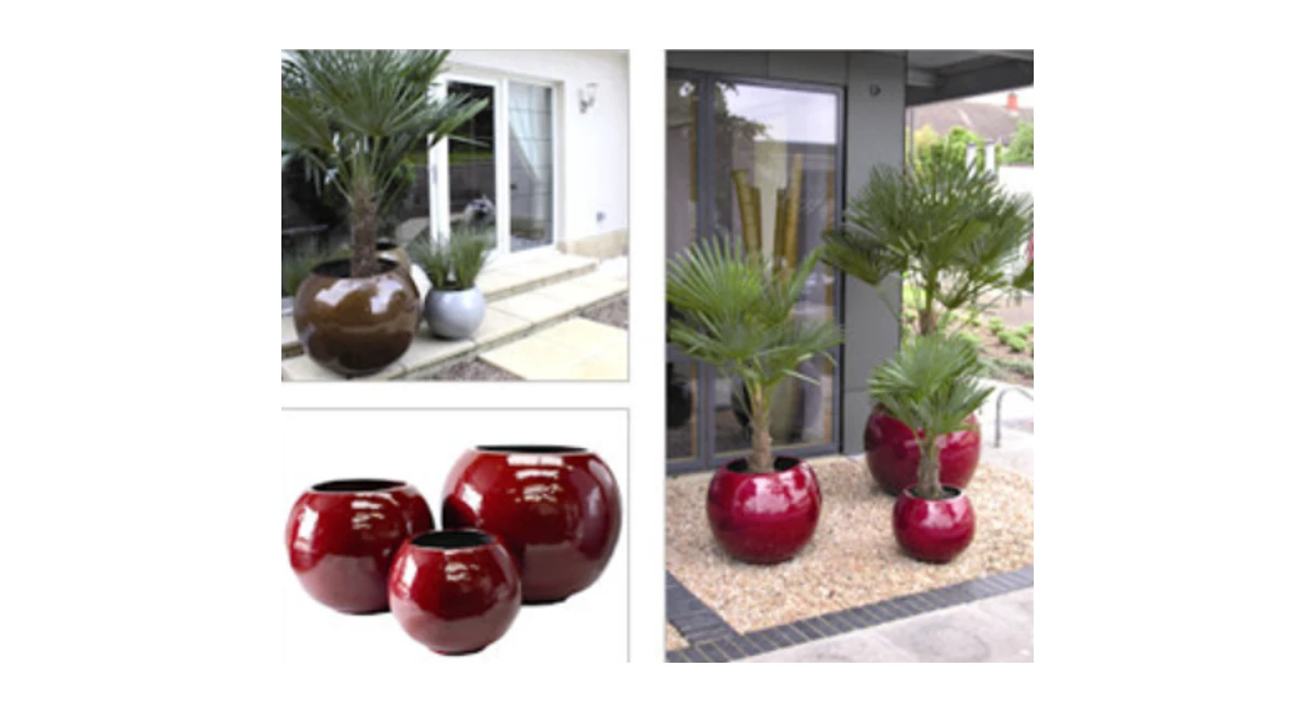 image-ambius-plant-pot.webp